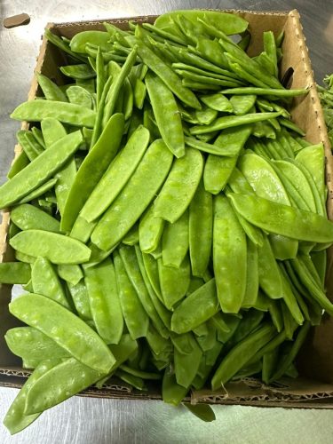 WhatsApp Image 2025-11-26 at 10.26.34 PM (1)