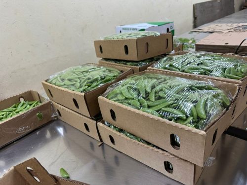 WhatsApp Image 2025-11-26 at 10.26.35 PM (2)