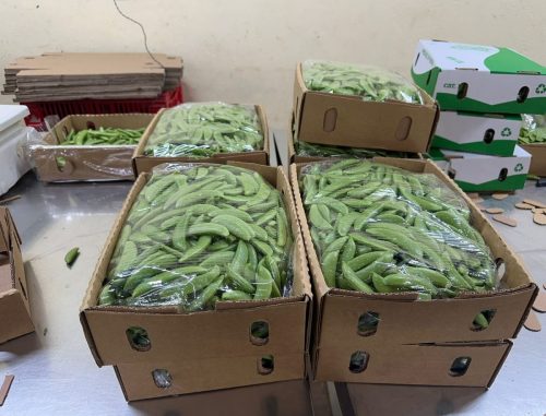 WhatsApp Image 2025-11-26 at 10.26.36 PM