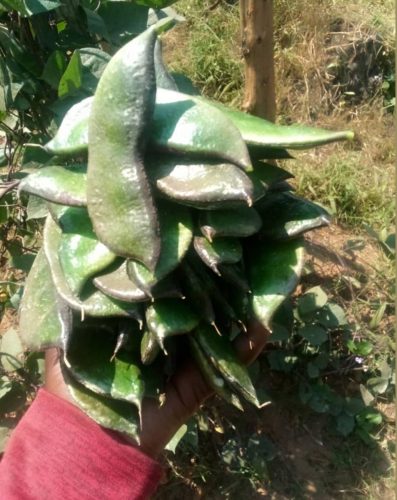 WhatsApp Image 2025-11-27 at 1.06.58 PM