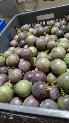 WhatsApp Image 2025-11-28 at 5.10.09 PM