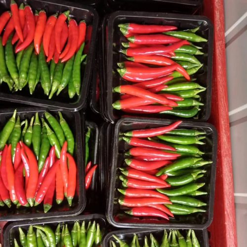 WhatsApp Image 2025-11-28 at 8.00.31 PM