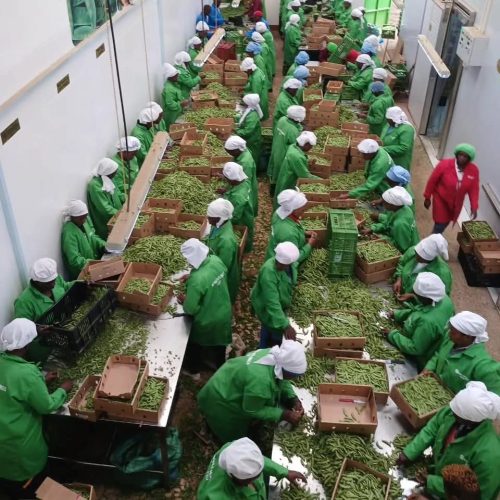 WhatsApp Image 2025-11-28 at 8.03.02 PM