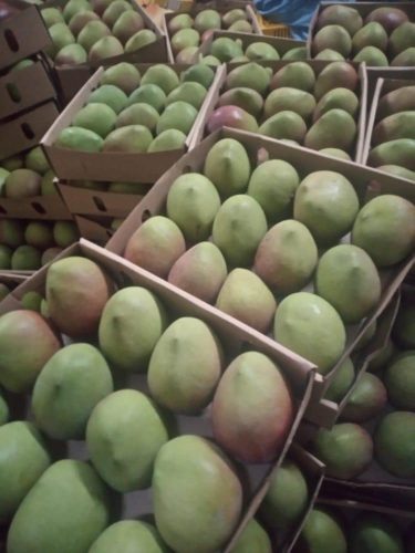 WhatsApp Image 2025-11-29 at 11.54.35 AM