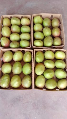 WhatsApp Image 2025-11-29 at 11.57.04 AM