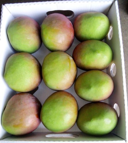 WhatsApp Image 2025-11-29 at 11.57.14 AM