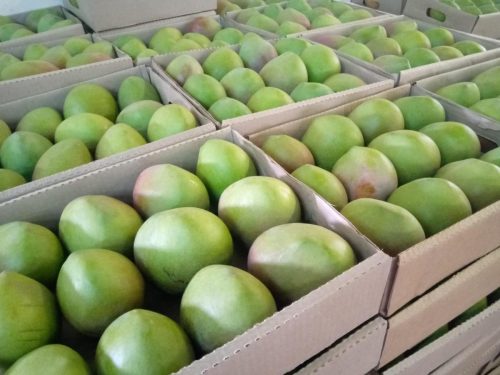 WhatsApp Image 2025-11-29 at 11.57.37 AM