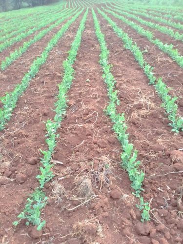 WhatsApp Image 2025-11-29 at 12.03.52 PM