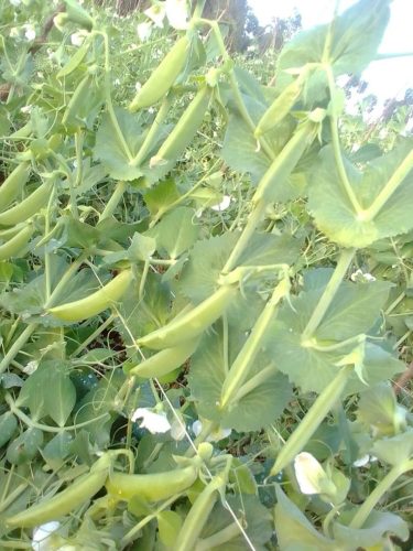 WhatsApp Image 2025-11-29 at 12.04.14 PM