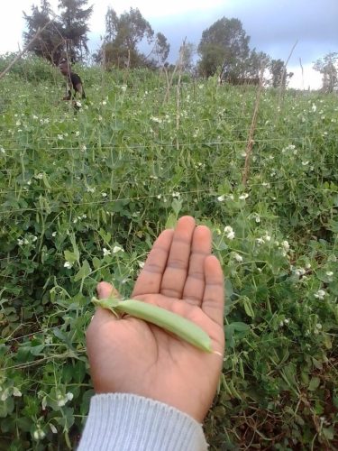 WhatsApp Image 2025-11-29 at 12.04.28 PM