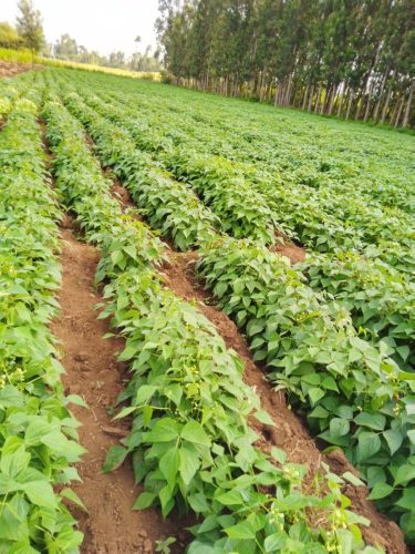 WhatsApp Image 2025-11-29 at 12.09.24 PM