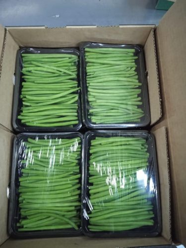 WhatsApp Image 2025-11-29 at 12.12.17 PM